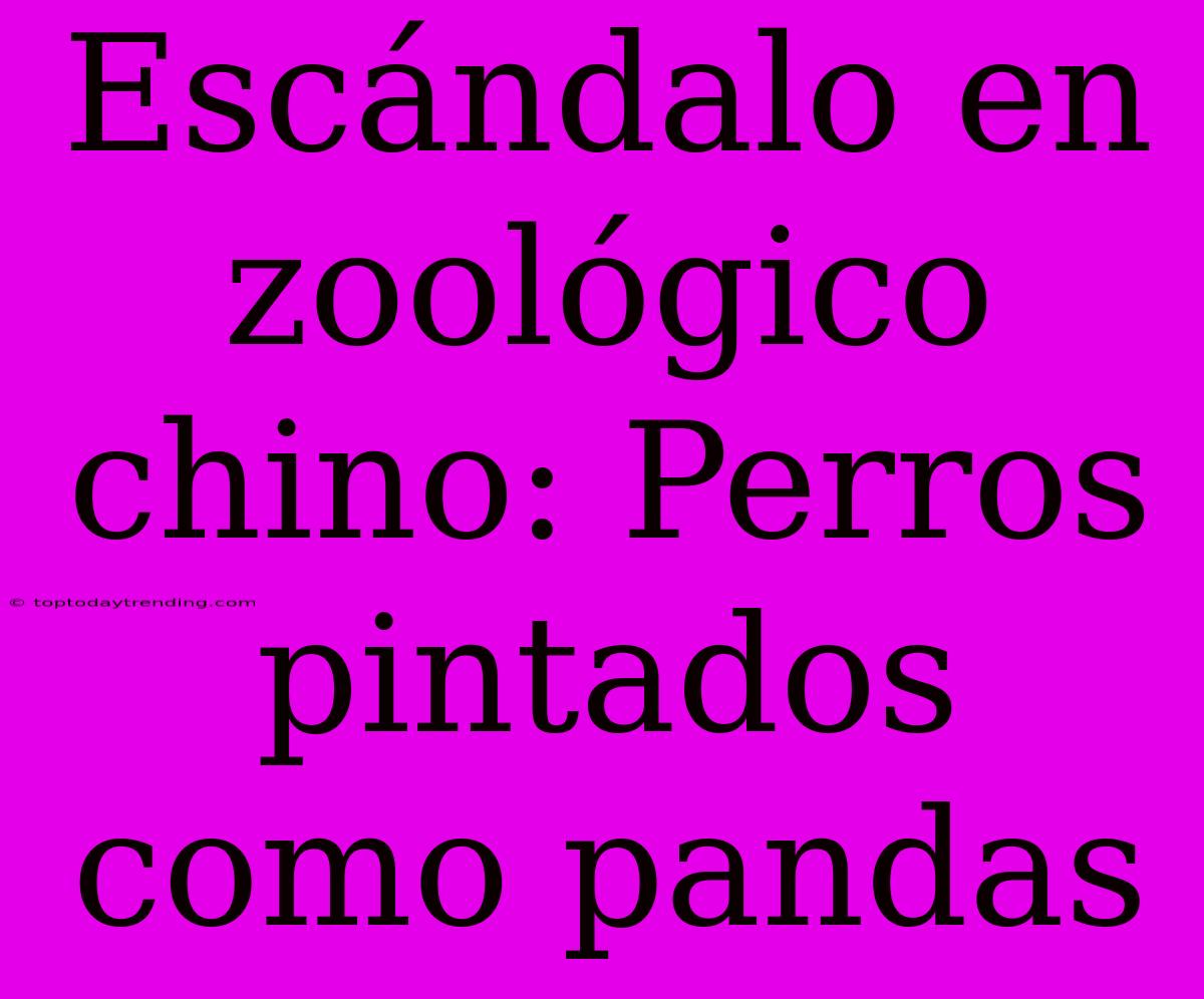 Escándalo En Zoológico Chino: Perros Pintados Como Pandas