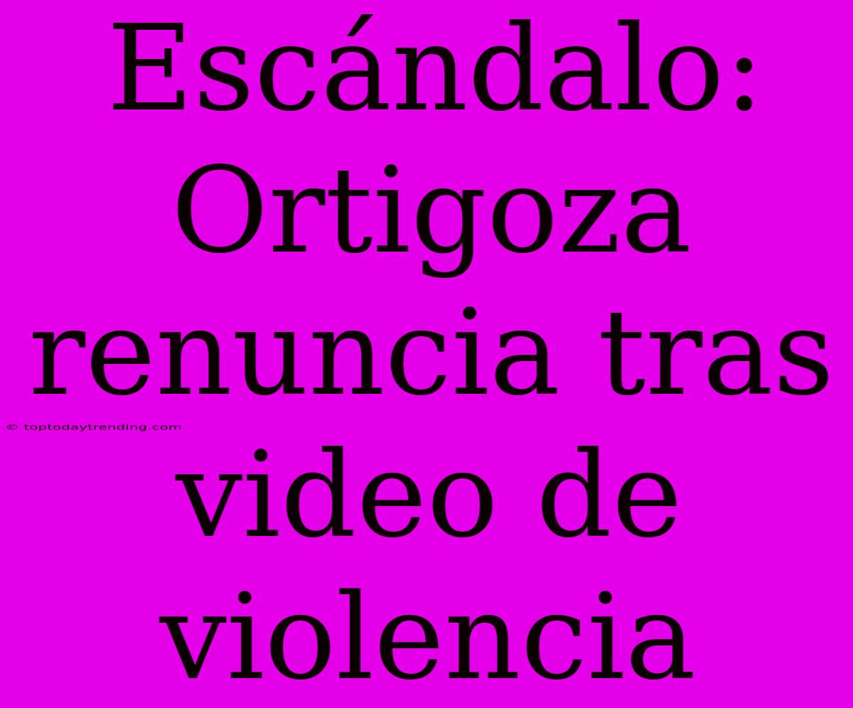 Escándalo: Ortigoza Renuncia Tras Video De Violencia