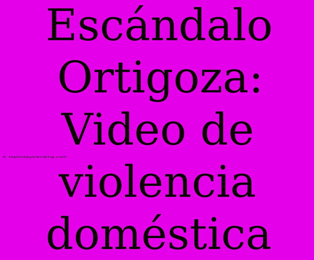 Escándalo Ortigoza: Video De Violencia Doméstica