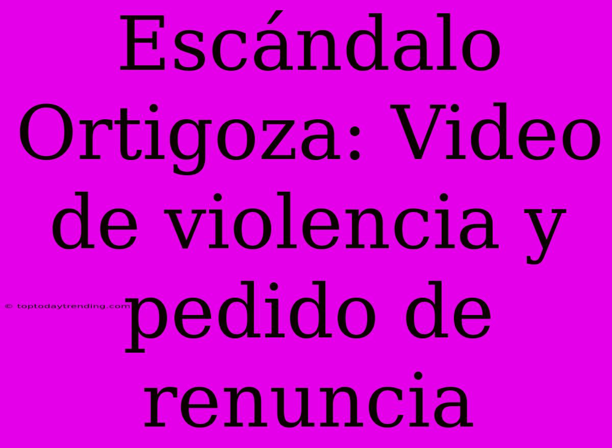 Escándalo Ortigoza: Video De Violencia Y Pedido De Renuncia