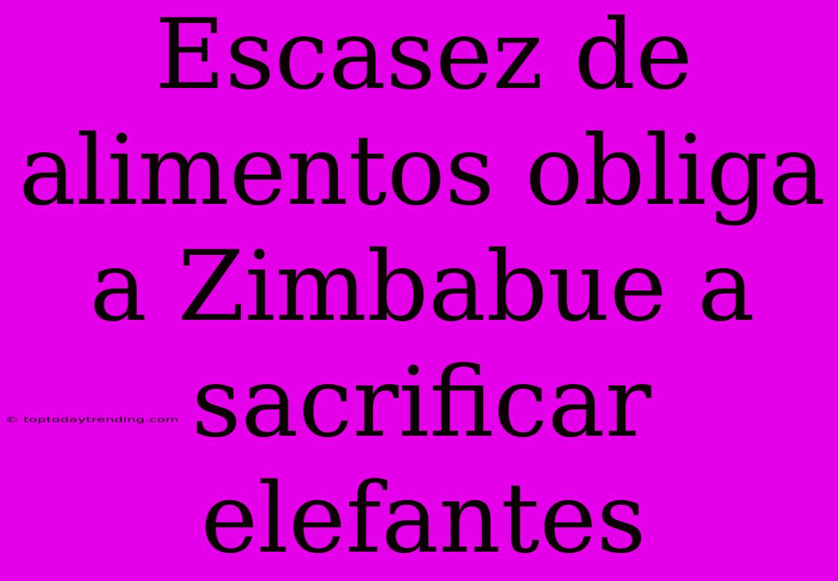 Escasez De Alimentos Obliga A Zimbabue A Sacrificar Elefantes