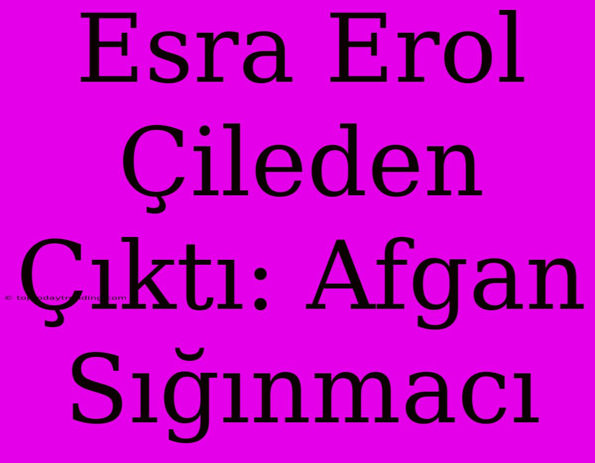 Esra Erol Çileden Çıktı: Afgan Sığınmacı