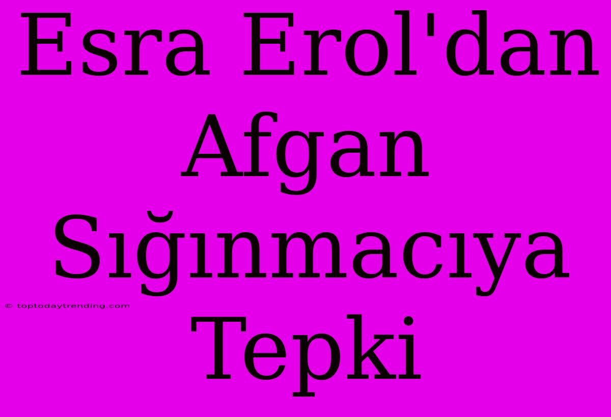 Esra Erol'dan Afgan Sığınmacıya Tepki