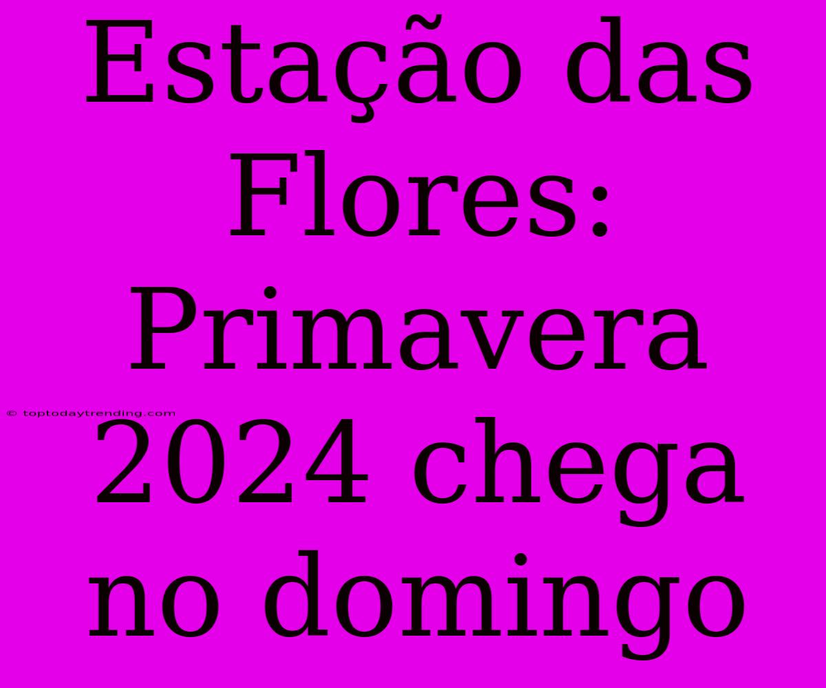 Estação Das Flores: Primavera 2024 Chega No Domingo