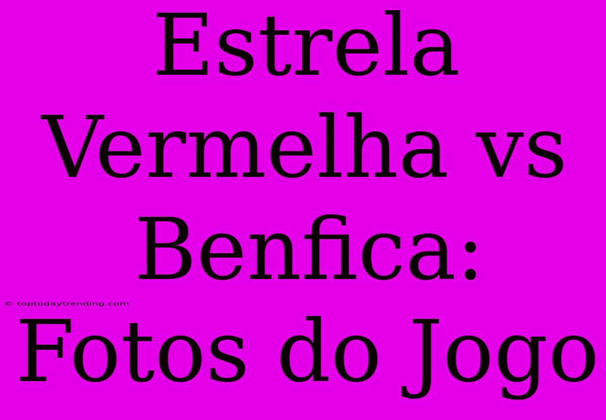 Estrela Vermelha Vs Benfica: Fotos Do Jogo