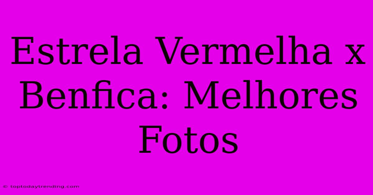 Estrela Vermelha X Benfica: Melhores Fotos