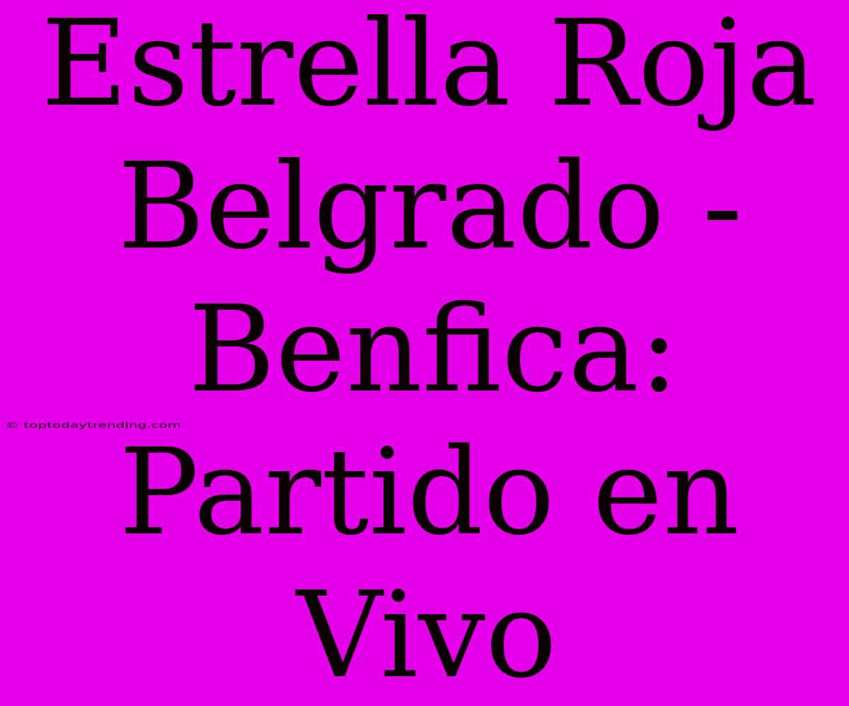 Estrella Roja Belgrado - Benfica: Partido En Vivo