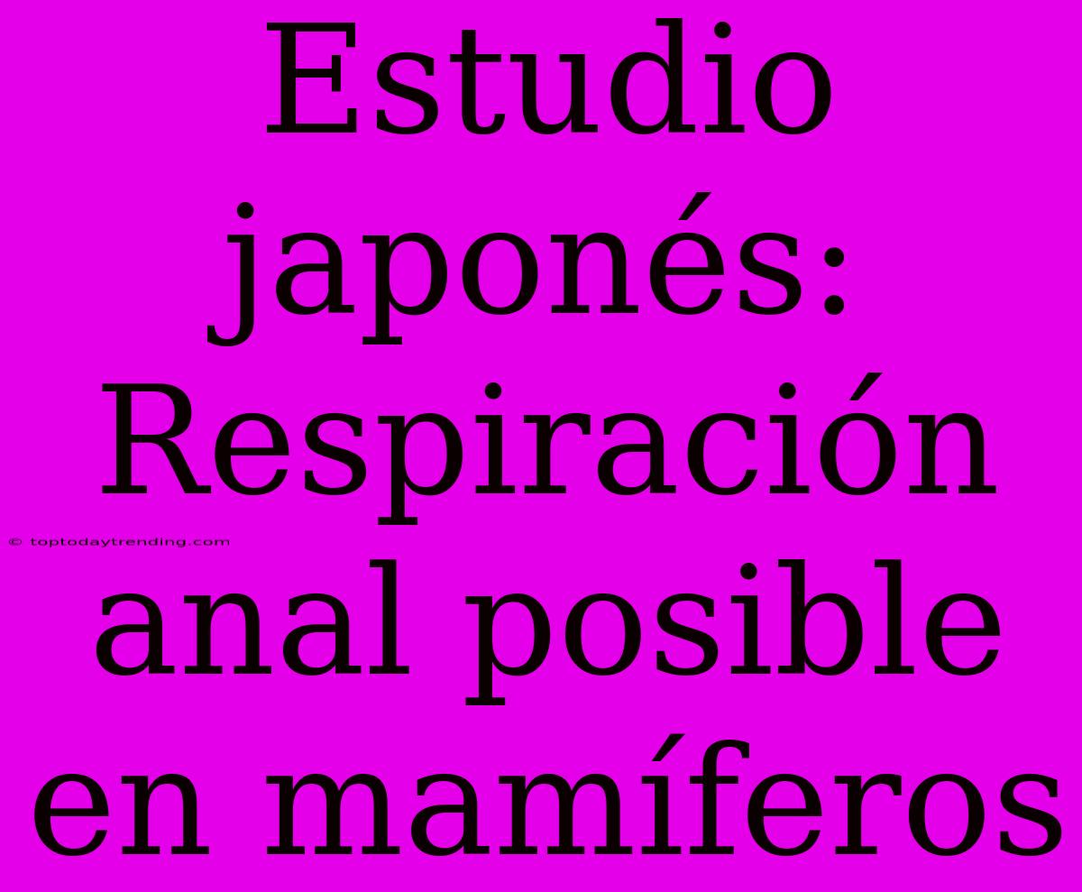 Estudio Japonés: Respiración Anal Posible En Mamíferos