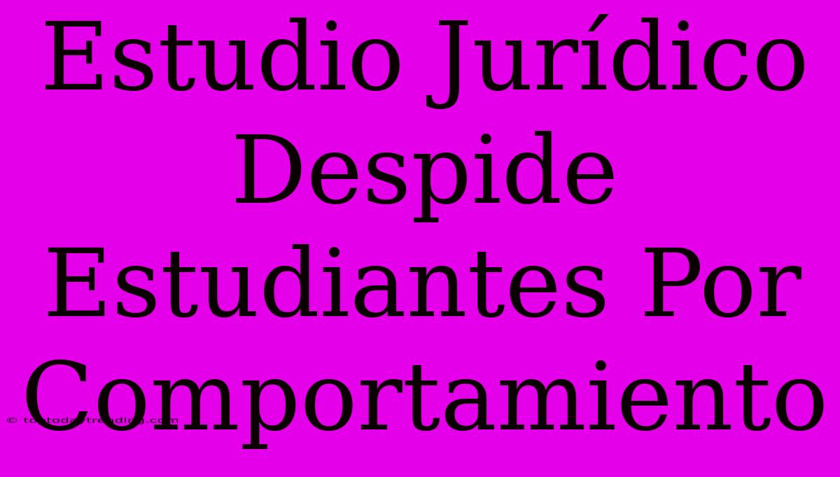 Estudio Jurídico Despide Estudiantes Por Comportamiento