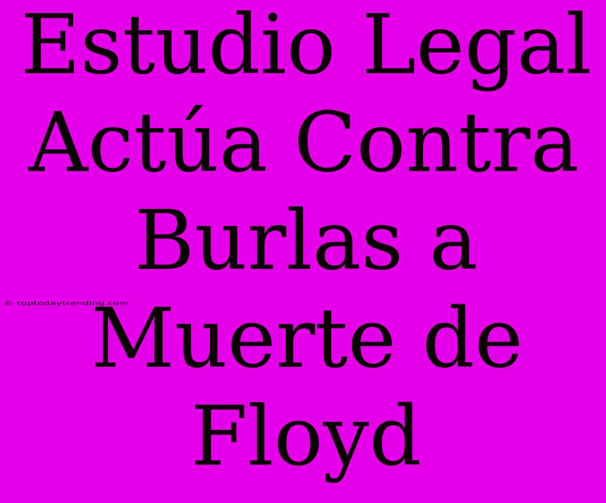 Estudio Legal Actúa Contra Burlas A Muerte De Floyd