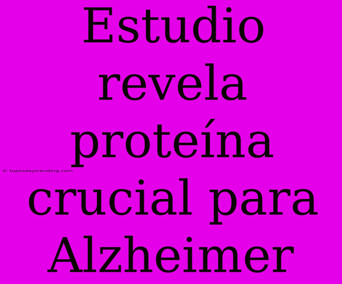 Estudio Revela Proteína Crucial Para Alzheimer