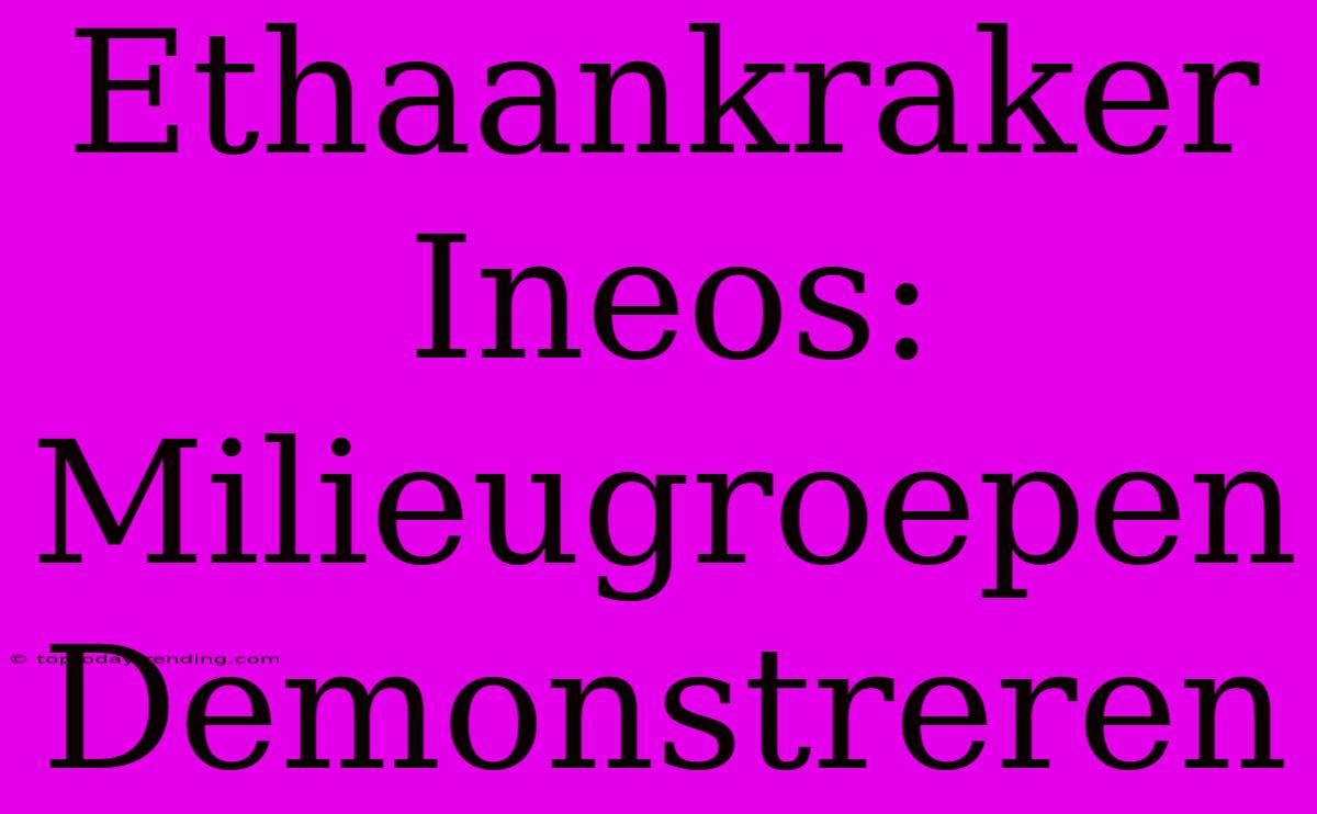 Ethaankraker Ineos: Milieugroepen Demonstreren