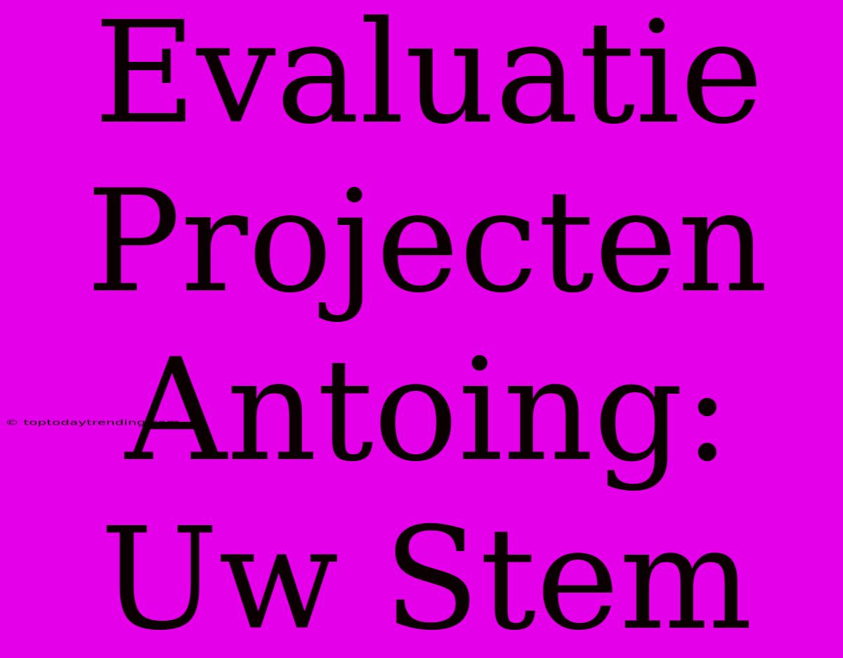 Evaluatie Projecten Antoing: Uw Stem