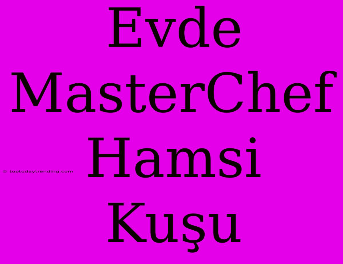 Evde MasterChef Hamsi Kuşu