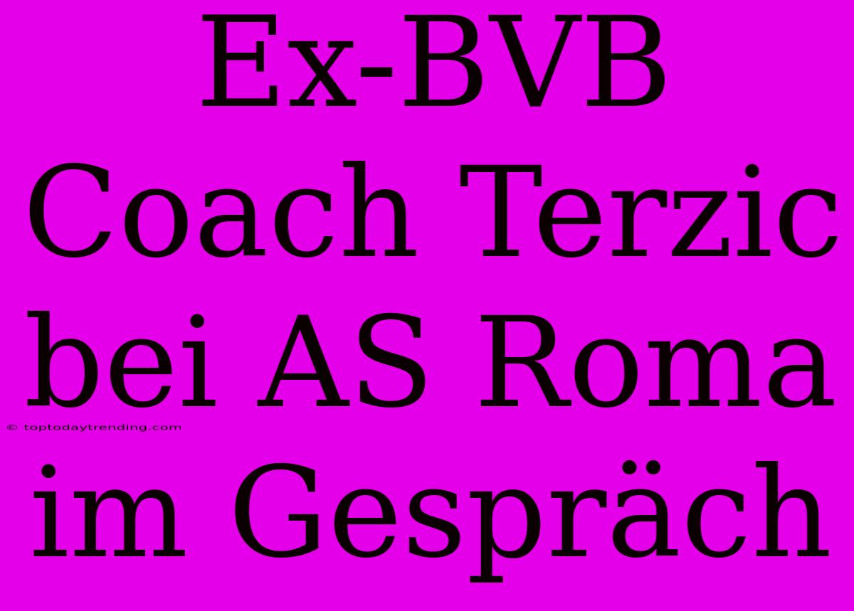 Ex-BVB Coach Terzic Bei AS Roma Im Gespräch