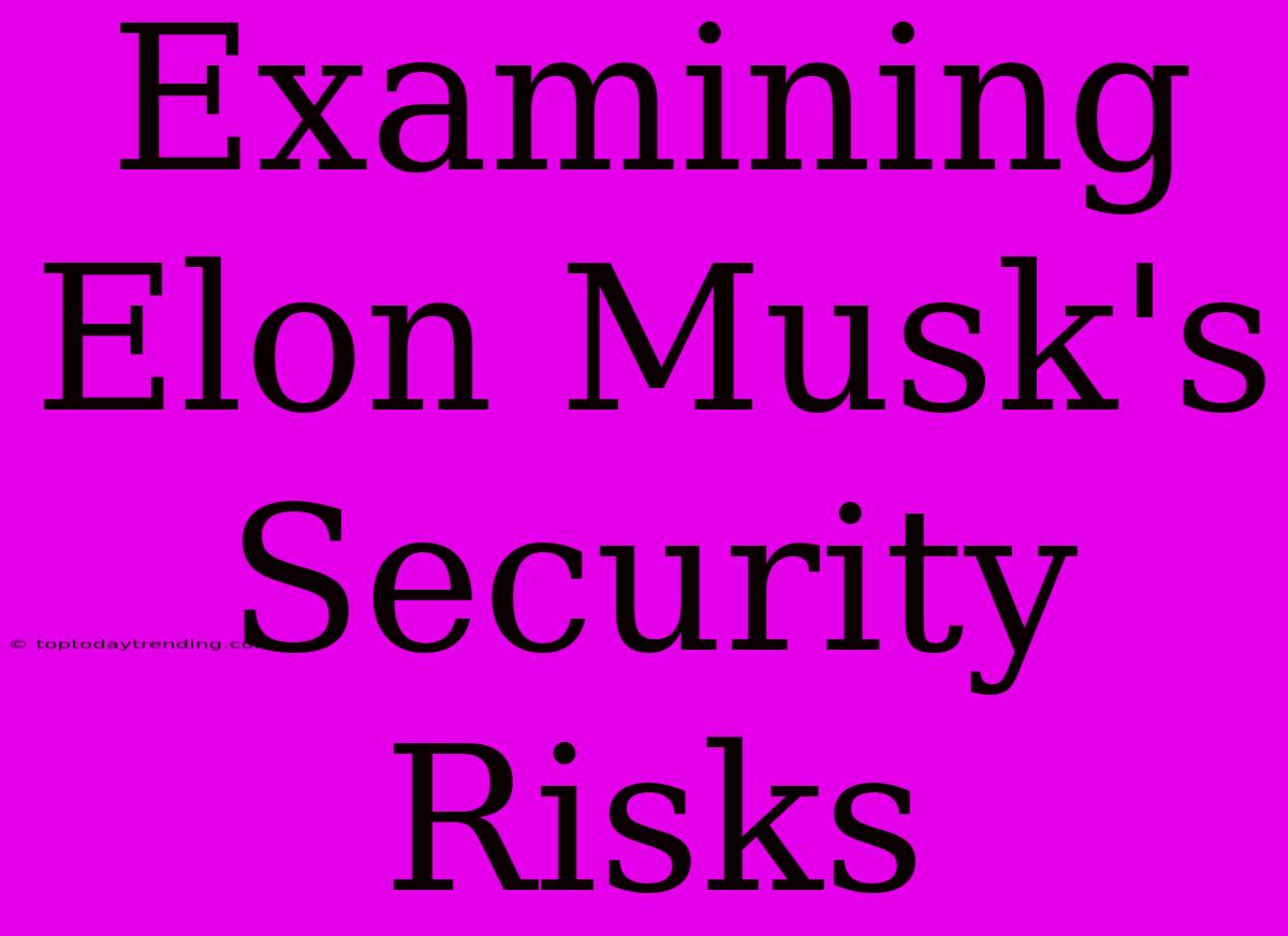 Examining Elon Musk's Security Risks