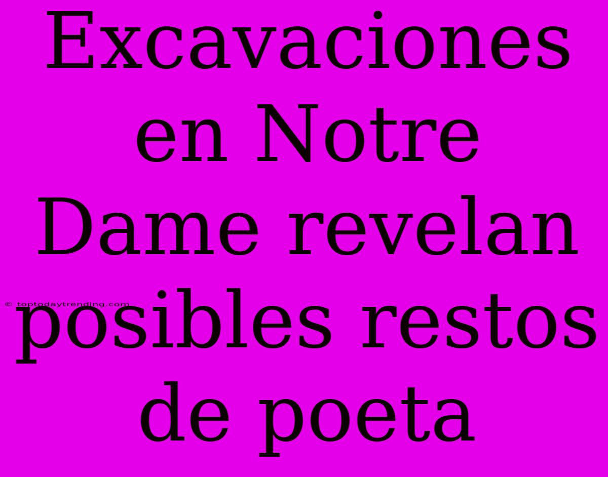 Excavaciones En Notre Dame Revelan Posibles Restos De Poeta