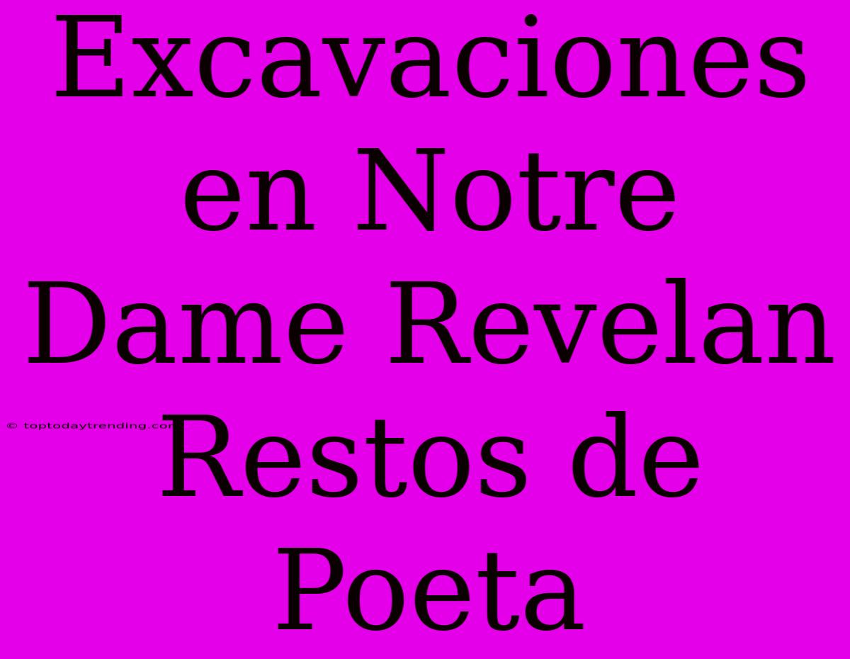 Excavaciones En Notre Dame Revelan Restos De Poeta