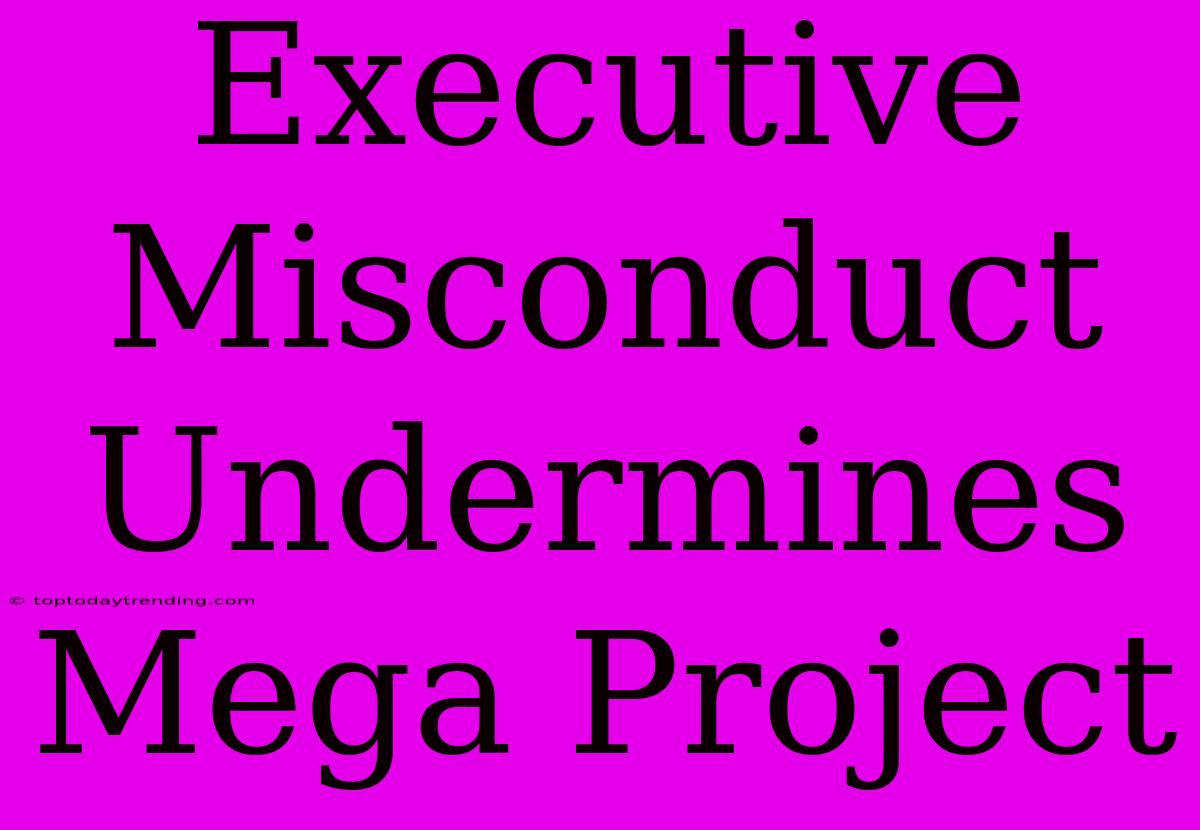 Executive Misconduct Undermines Mega Project