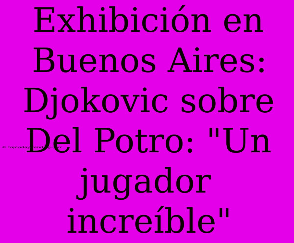 Exhibición En Buenos Aires: Djokovic Sobre Del Potro: 