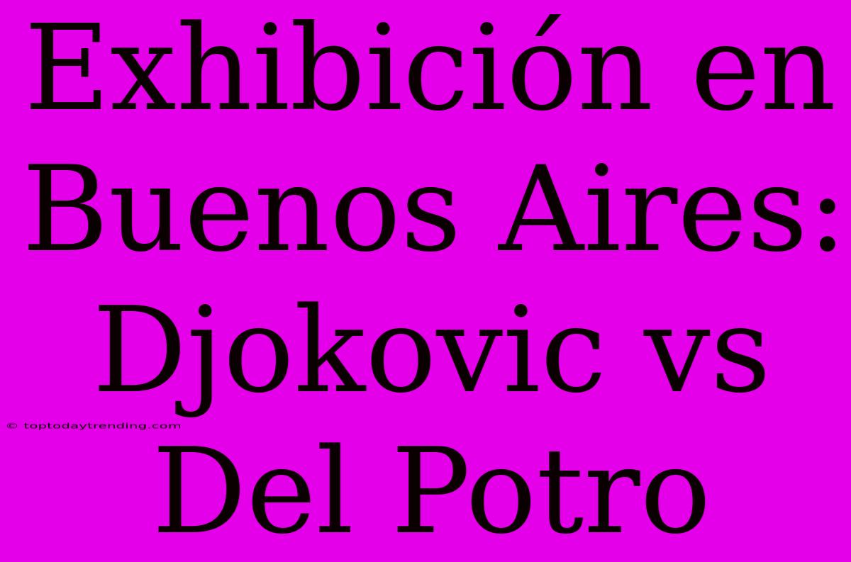 Exhibición En Buenos Aires: Djokovic Vs Del Potro