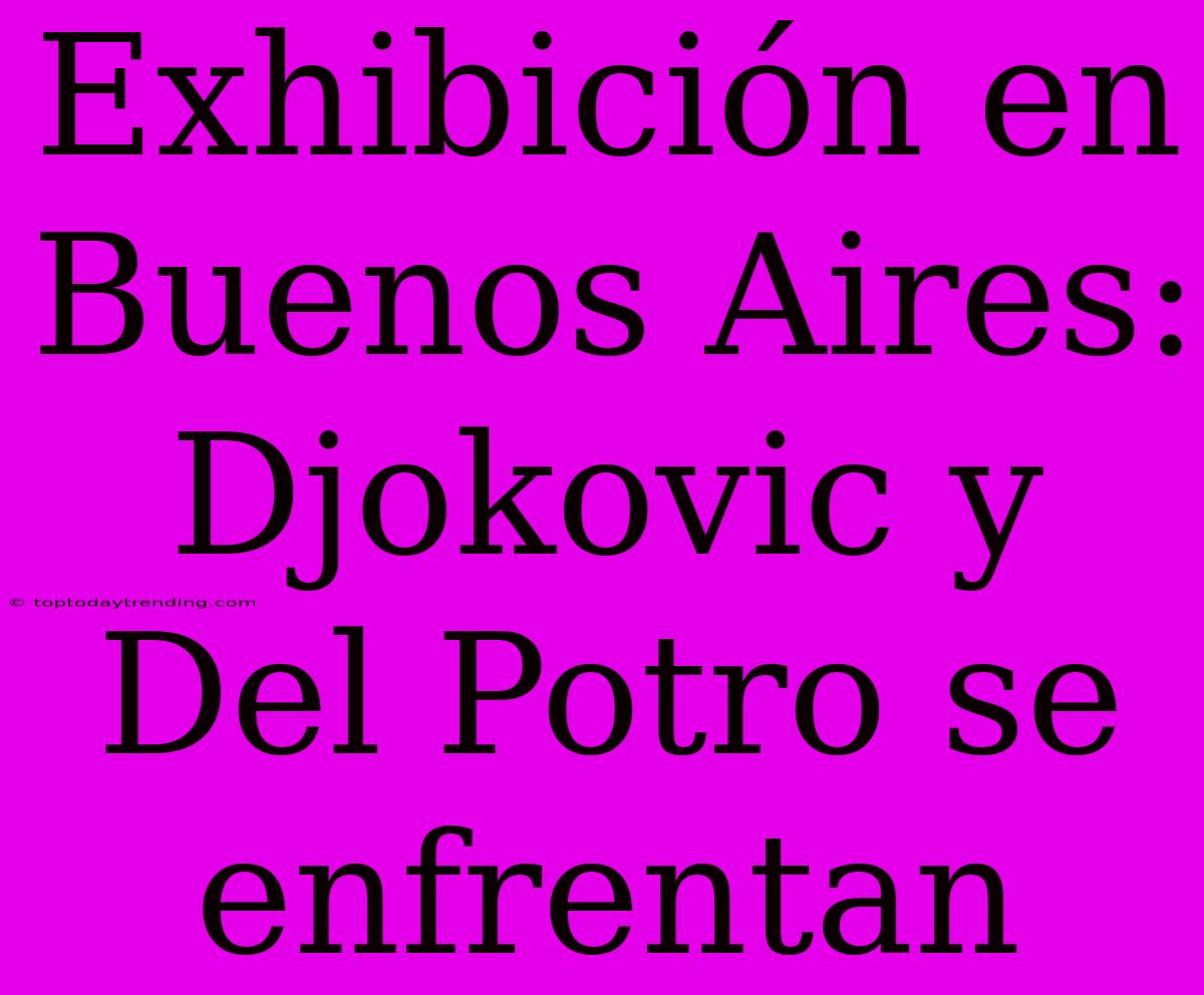 Exhibición En Buenos Aires: Djokovic Y Del Potro Se Enfrentan