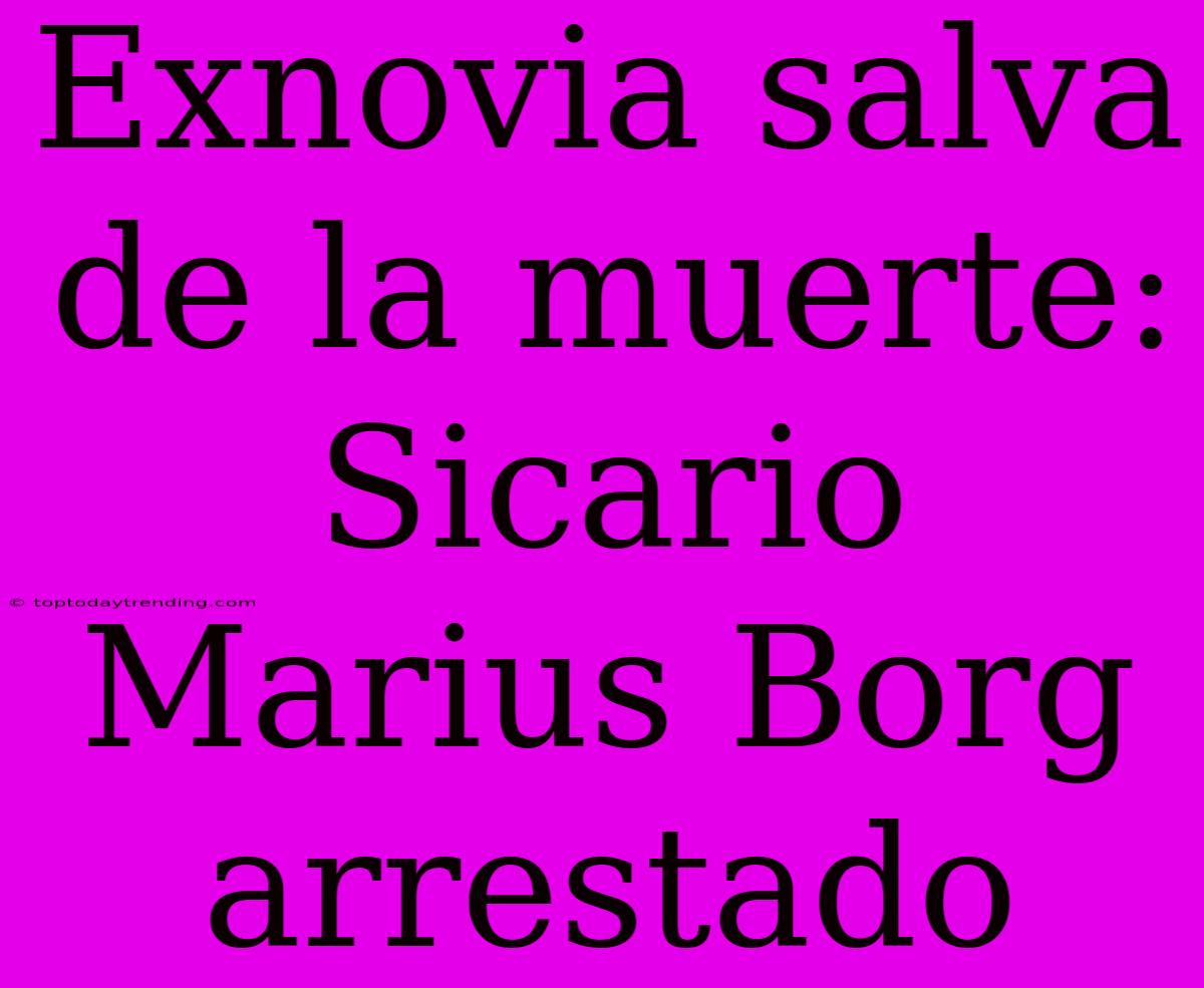 Exnovia Salva De La Muerte: Sicario Marius Borg Arrestado