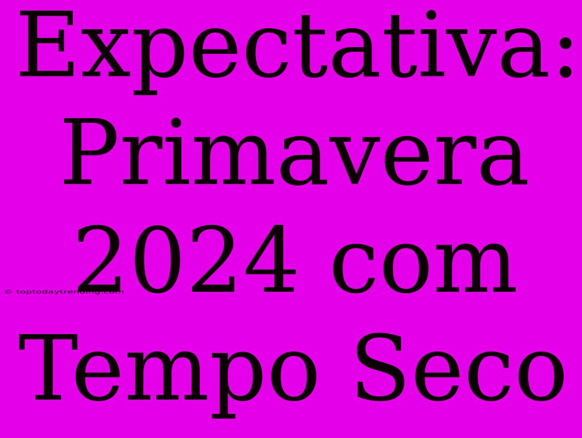 Expectativa: Primavera 2024 Com Tempo Seco