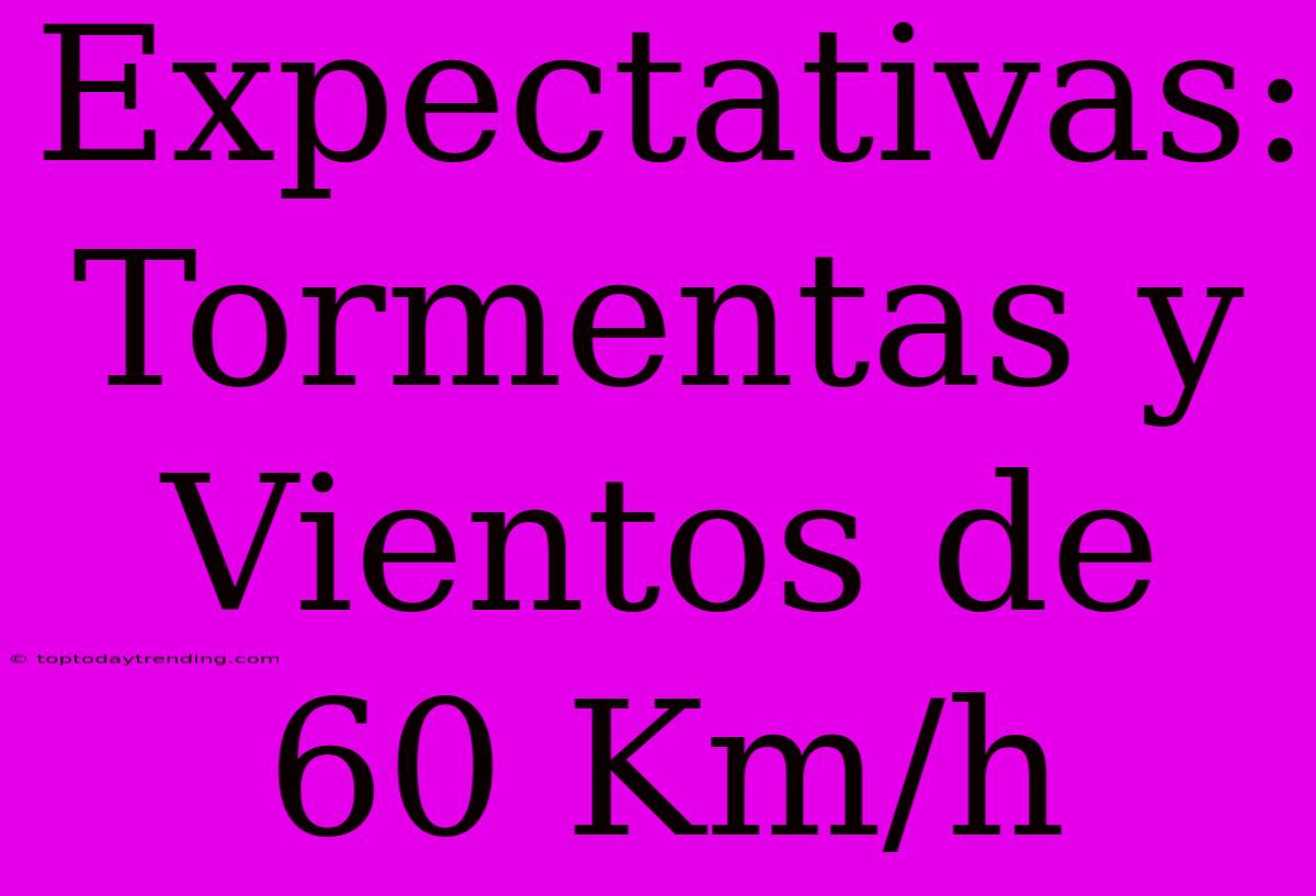 Expectativas: Tormentas Y Vientos De 60 Km/h