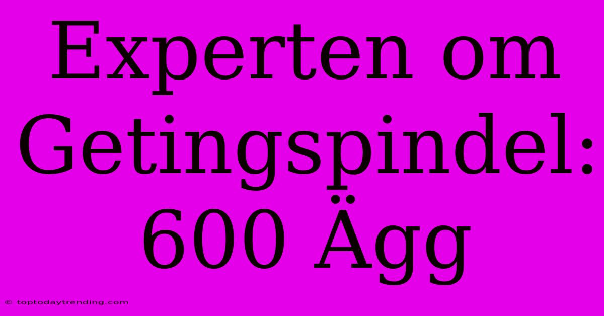 Experten Om Getingspindel: 600 Ägg