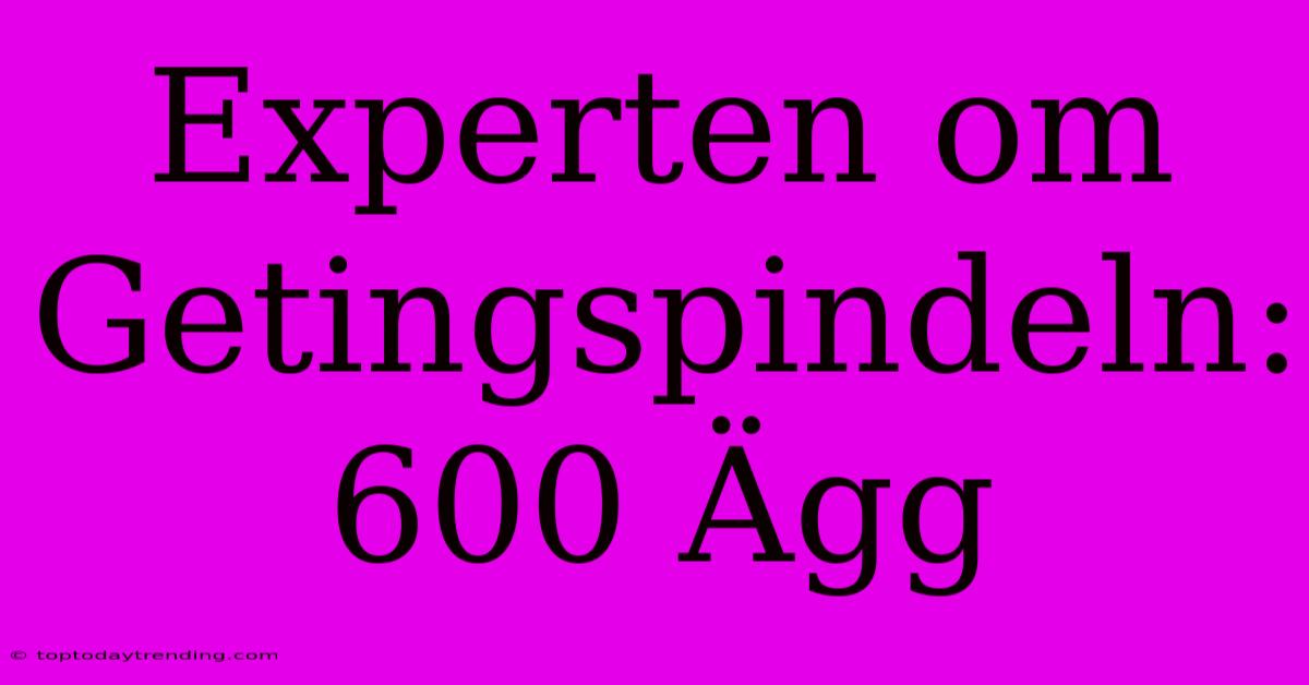 Experten Om Getingspindeln: 600 Ägg