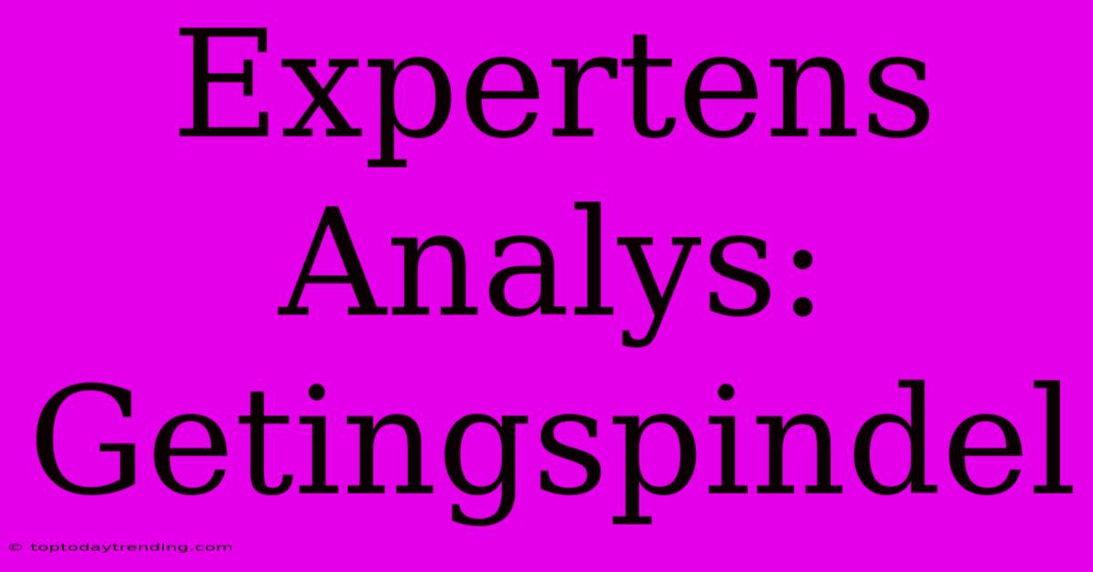 Expertens Analys: Getingspindel