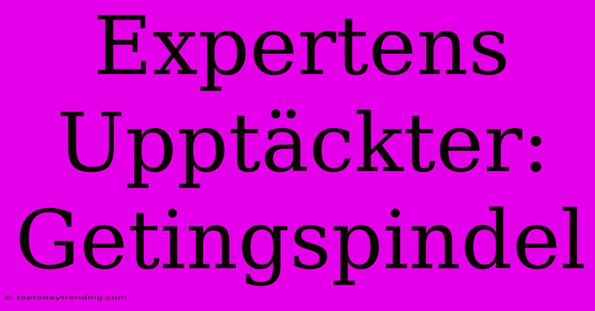 Expertens Upptäckter: Getingspindel