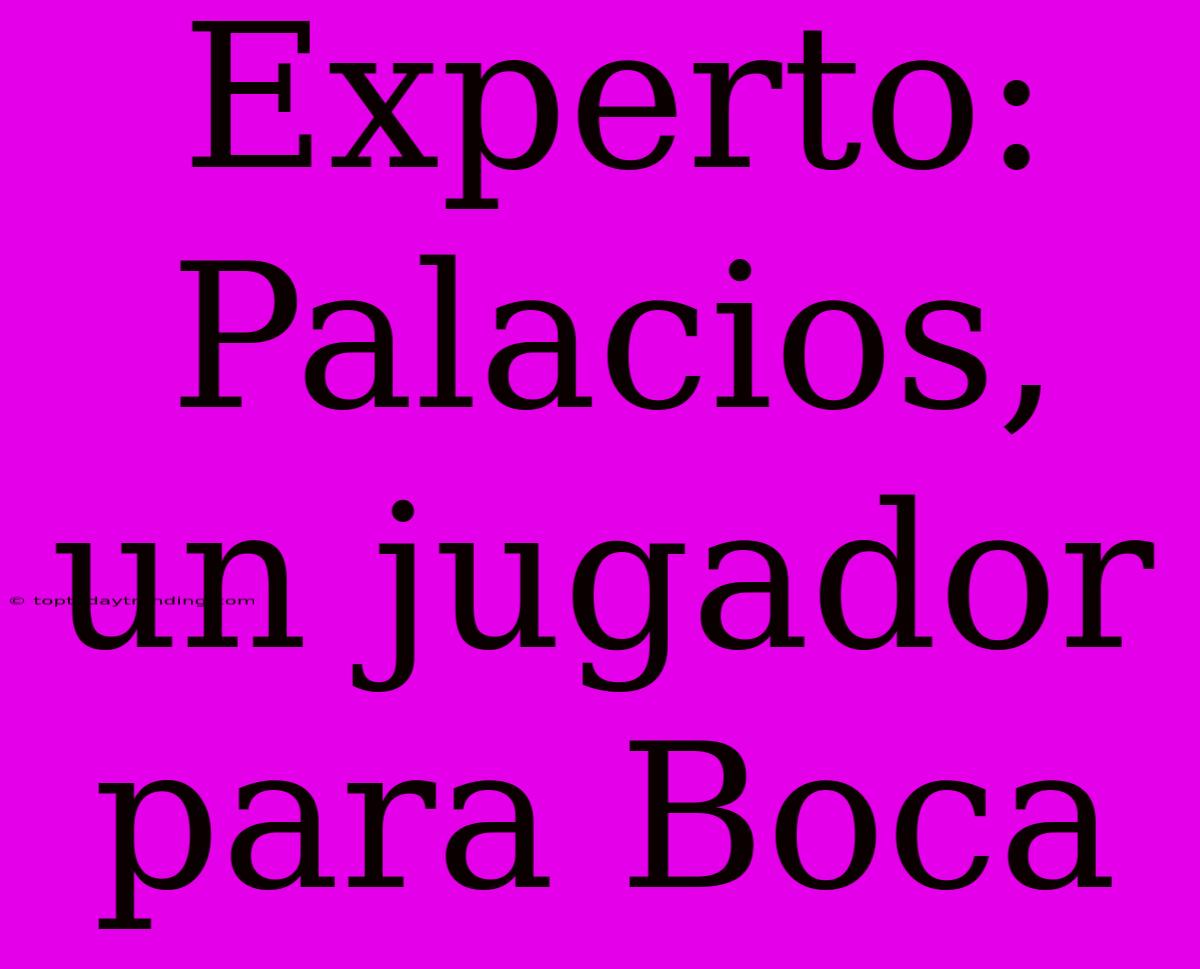 Experto: Palacios, Un Jugador Para Boca