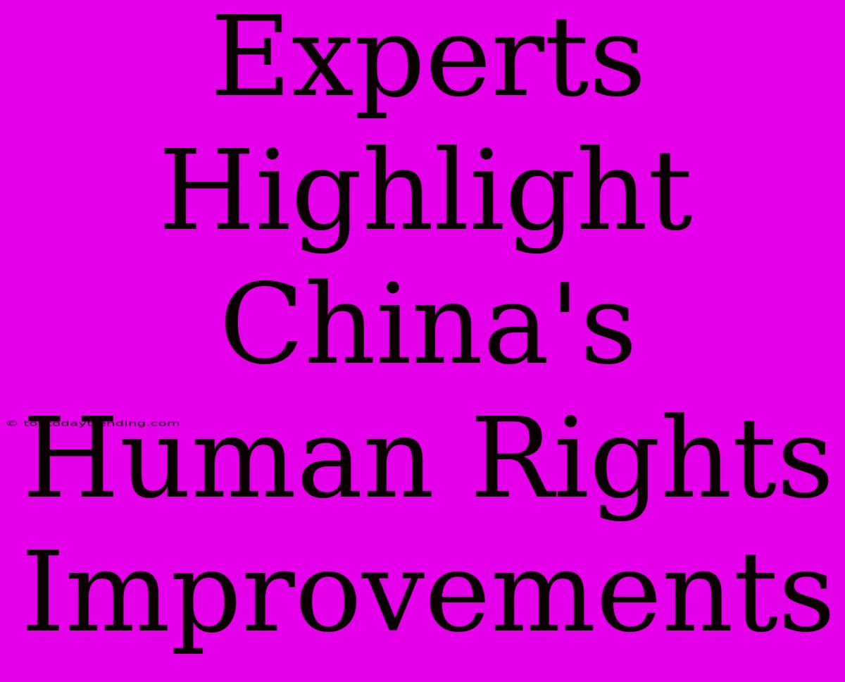 Experts Highlight China's Human Rights Improvements