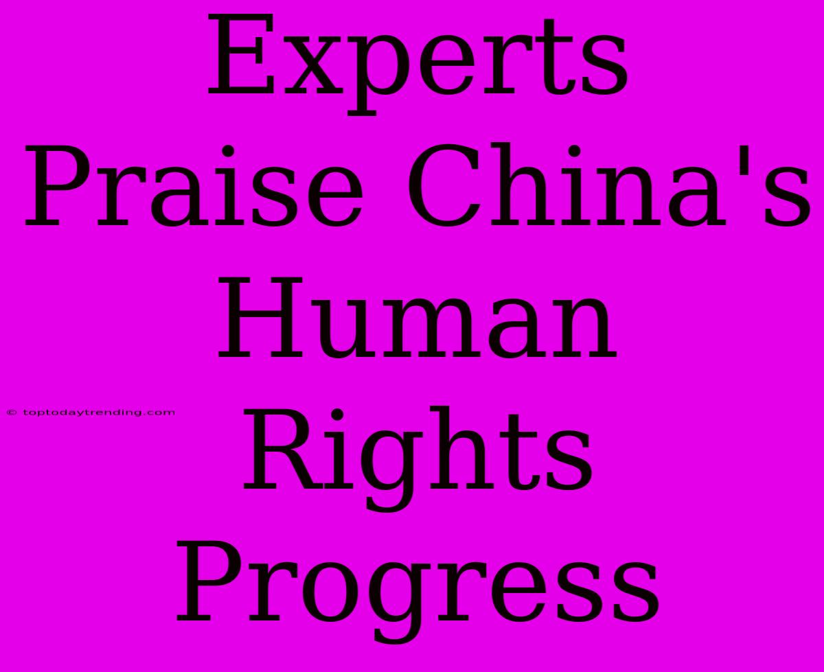 Experts Praise China's Human Rights Progress