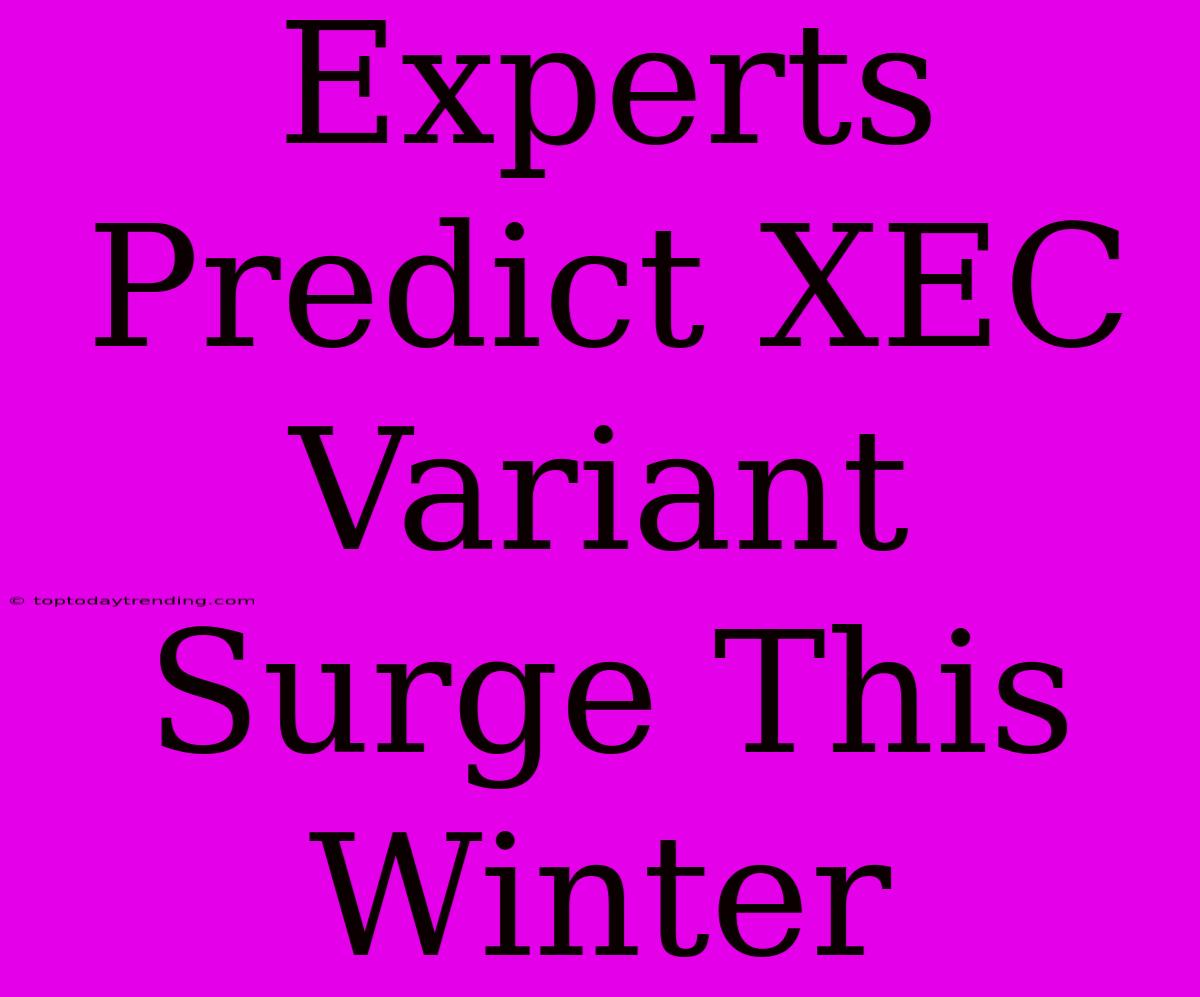 Experts Predict XEC Variant Surge This Winter