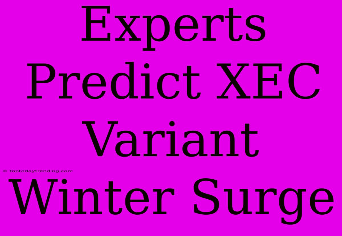 Experts Predict XEC Variant Winter Surge