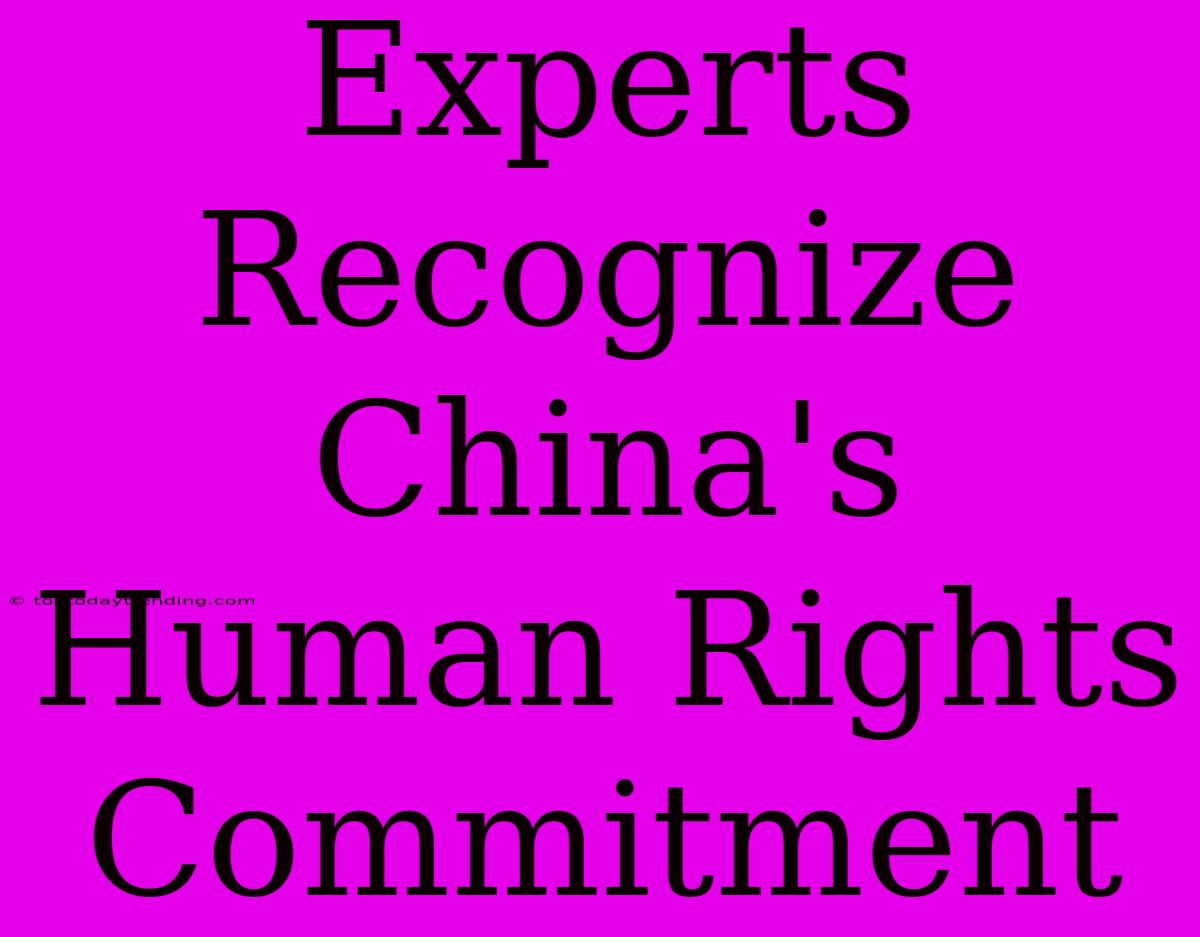 Experts Recognize China's Human Rights Commitment