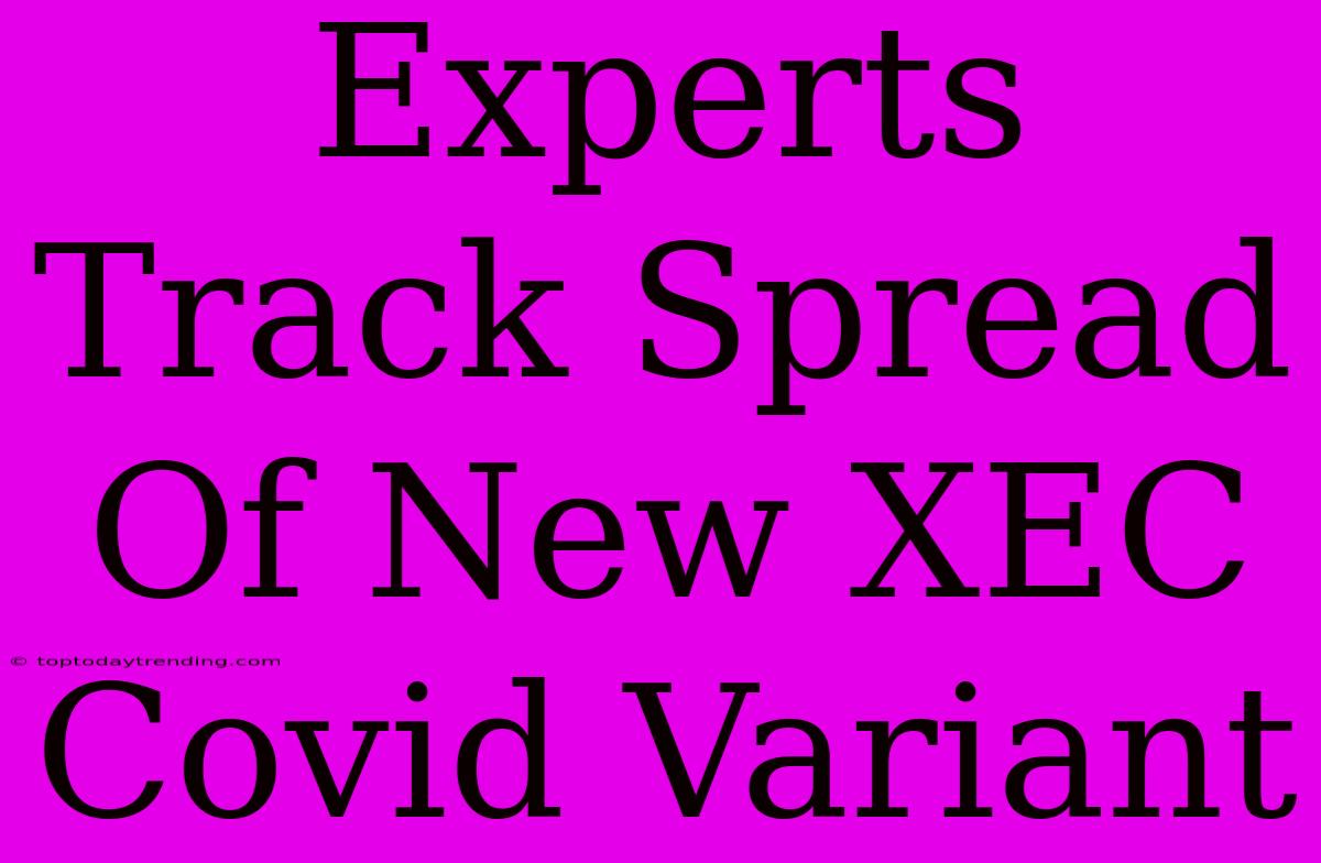 Experts Track Spread Of New XEC Covid Variant