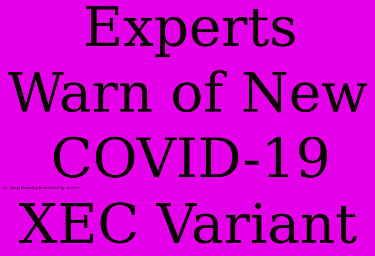 Experts Warn Of New COVID-19 XEC Variant