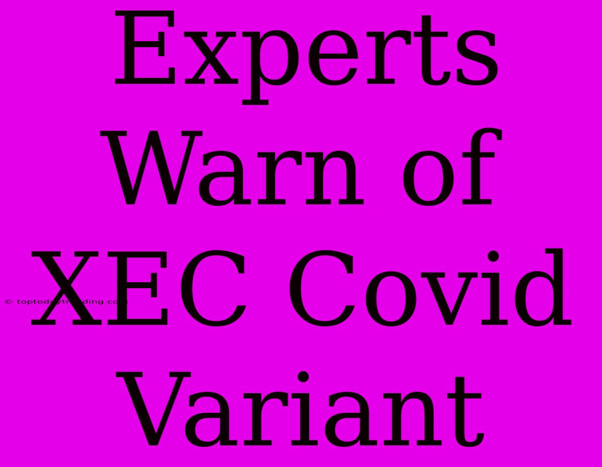 Experts Warn Of XEC Covid Variant