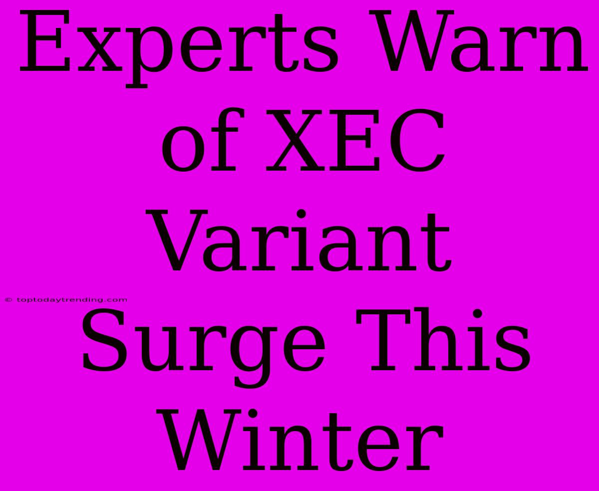 Experts Warn Of XEC Variant Surge This Winter