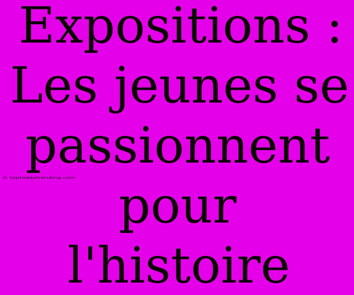 Expositions : Les Jeunes Se Passionnent Pour L'histoire