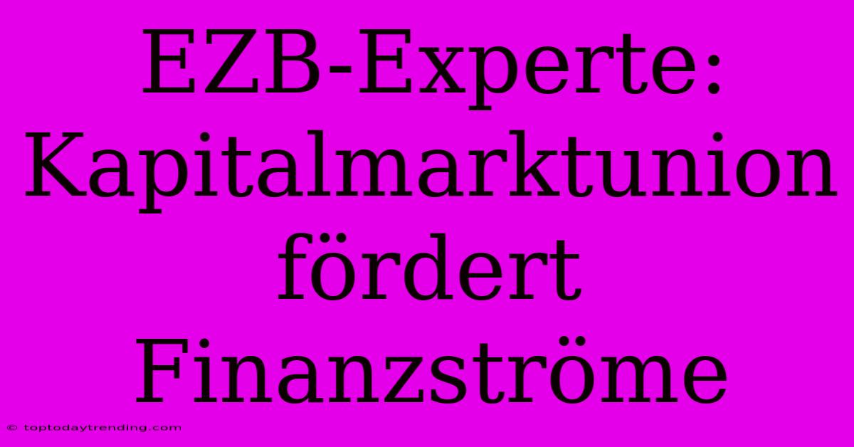 EZB-Experte: Kapitalmarktunion Fördert Finanzströme