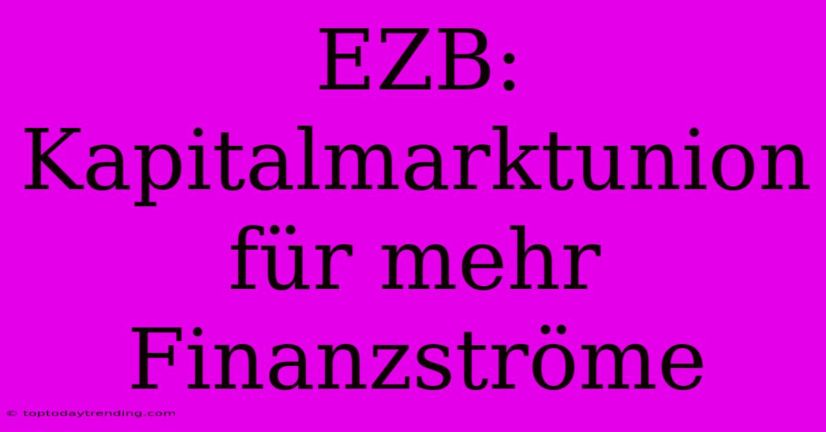 EZB: Kapitalmarktunion Für Mehr Finanzströme