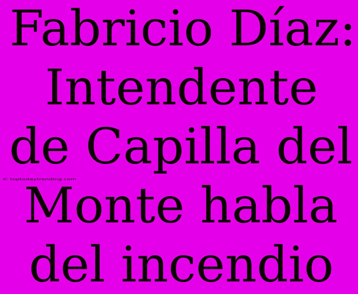 Fabricio Díaz: Intendente De Capilla Del Monte Habla Del Incendio