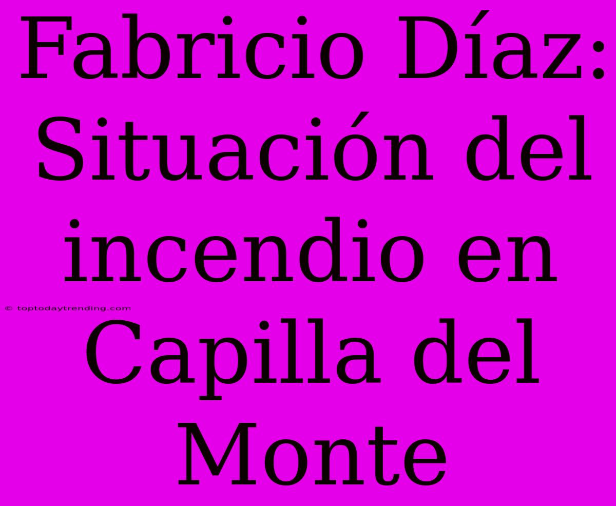 Fabricio Díaz: Situación Del Incendio En Capilla Del Monte