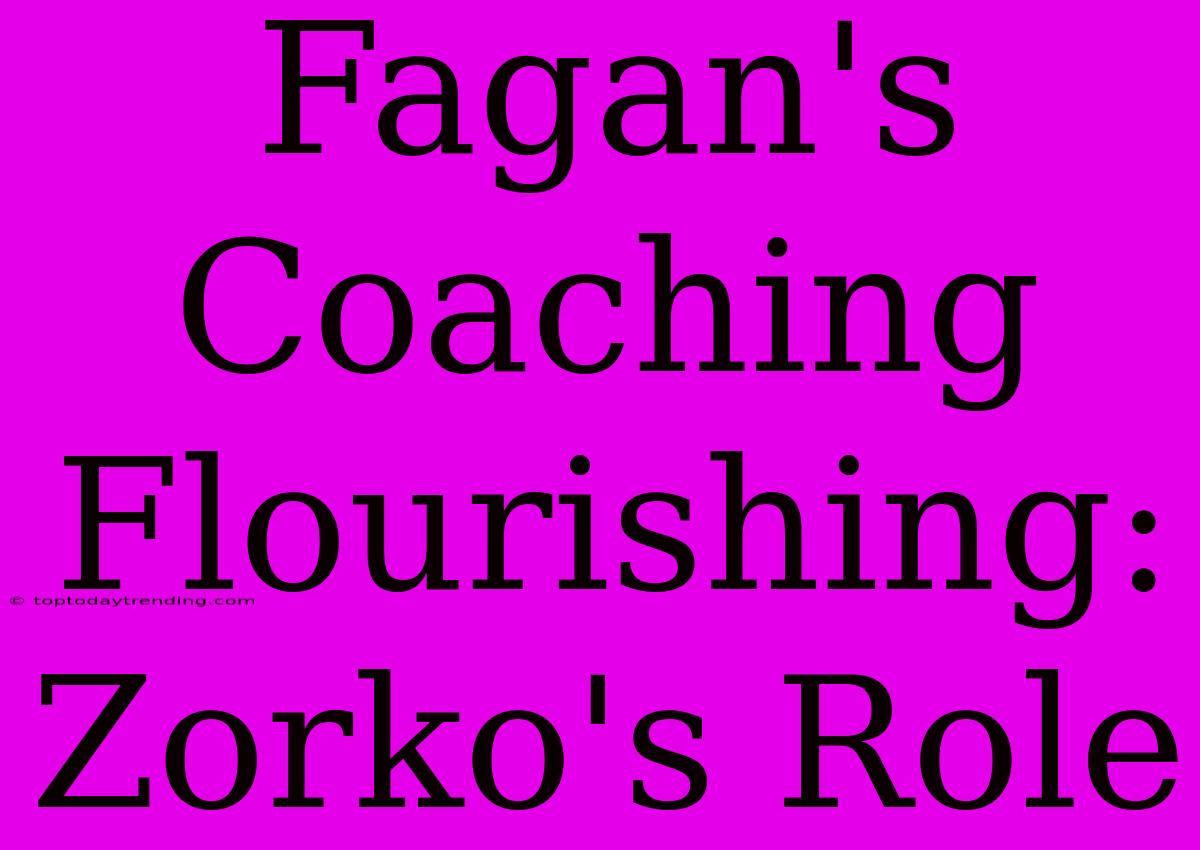 Fagan's Coaching Flourishing: Zorko's Role