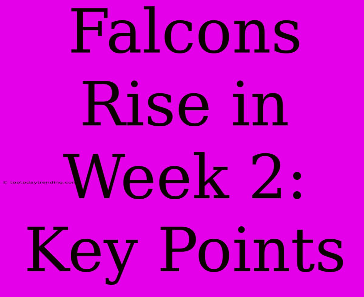 Falcons Rise In Week 2: Key Points